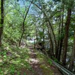 15928-Lake-Koronis-Rd-110